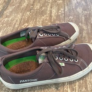 Canvas mocha brown shoes cariuma